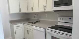 Elkins Park Terrace Gallery 3