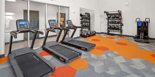 Deseo Grande Gallery 17