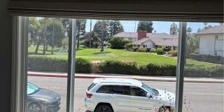 22705 Nadine Gallery 2