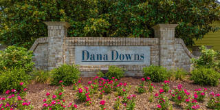 Dana Downs Gallery 38