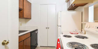 Oak Springs Gallery 19