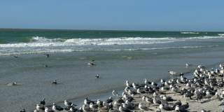 Beach Home Available Now in Redington Beach! Gallery 27