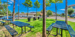 District at Greenville District at Greenville Gallery 36