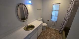 253 Sago Palm St Gallery 4
