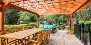 Laurel Springs Gallery 3