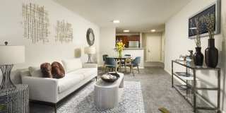 Chestnut Oaks, 55+ Gallery 3