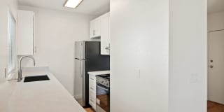 1202 E Pine Street Gallery 10