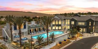 Stirling at Cota Vera Gallery 1