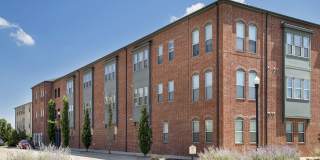 Thrive Argenta Gallery 7