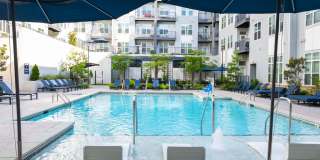 Alta West Morehead Gallery 1