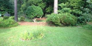 6519 Spicewood Dr. Gallery 14