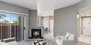 Arium Meadows Gallery 25