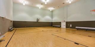 8201 GREEN PARROT Road unit: 307 Gallery 14