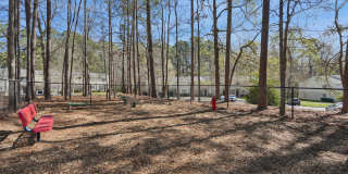 Emory Woods Gallery 24