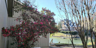 Enjoy Lakefront Luxury Year Round! $250 Off First Full Month's Rent! Gallery 1