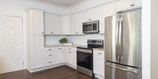Spacious 4/3.5 w/ Master on Main and Fully Fenced Backyard! Gallery 17