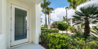 Oceanside Lantana Gallery 24