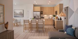 Aventon Lake Conway Gallery 4