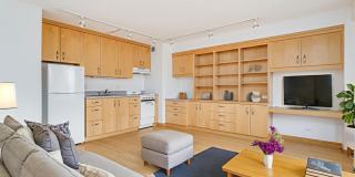 3100 N Lake Shore Drive Gallery 4