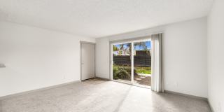 Driftwood Gallery 38