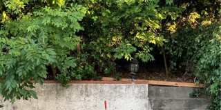 5246 Calderon Road Gallery 26