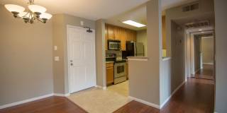 7150 Shoreline Drive Gallery 1