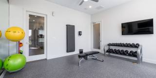 Moonlight Gallery 15