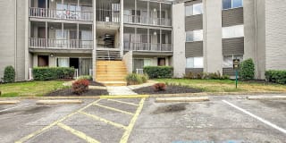 Verona at Silver Hill Gallery 56