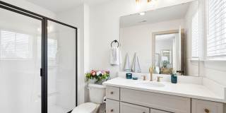 New Classically designed Duet style homes for Rent in Charlotte Gallery 21