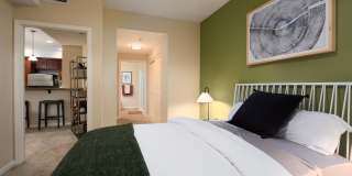 Domicilio Gallery 21