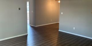 Willows on France Gallery 36