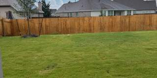 Pre-Leasing July 2026 -  216 Misted Grass Trail Georgetown, TX 78628 Gallery 21