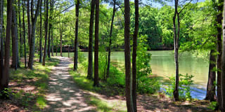 Bexley at Lake Norman Gallery 17