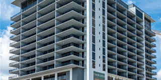 Site 9 Gallery 2