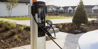 Cadia Sherman Gallery 19