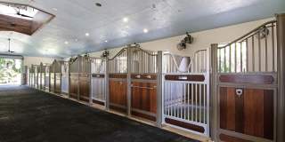 2022 Appaloosa Trail Gallery 10