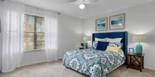 Boca Colony Gallery 12