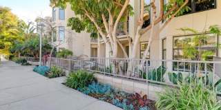 5410 La Jolla Blvd Gallery 27