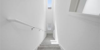 32497 MIDSUMMER NIGHT LANE Gallery 14