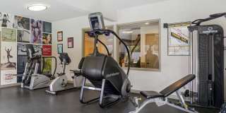 Alderwood Heights Gallery 19