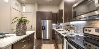 Windsor Turtle Creek Gallery 1