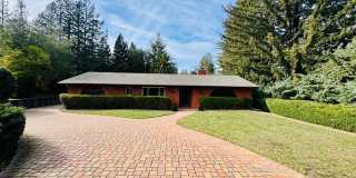 Spacious Single Level Home with Swimming Pool in Alamo Available Now! Gallery 1