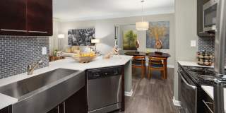 Windsor Johns Creek Gallery 4