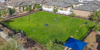 Vlux at Queen Creek Gallery 40