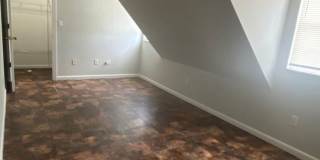Comfy and Cozy Gallery 1