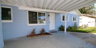 10926 North 29th StreetHillsborough County Gallery 19