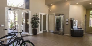 Santa Rosa Gallery 24