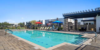 Olive Queen Creek Gallery 23