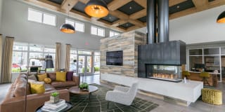 Sugarloaf Grove Gallery 4