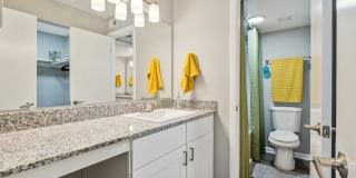 Buena Vista Gallery 35